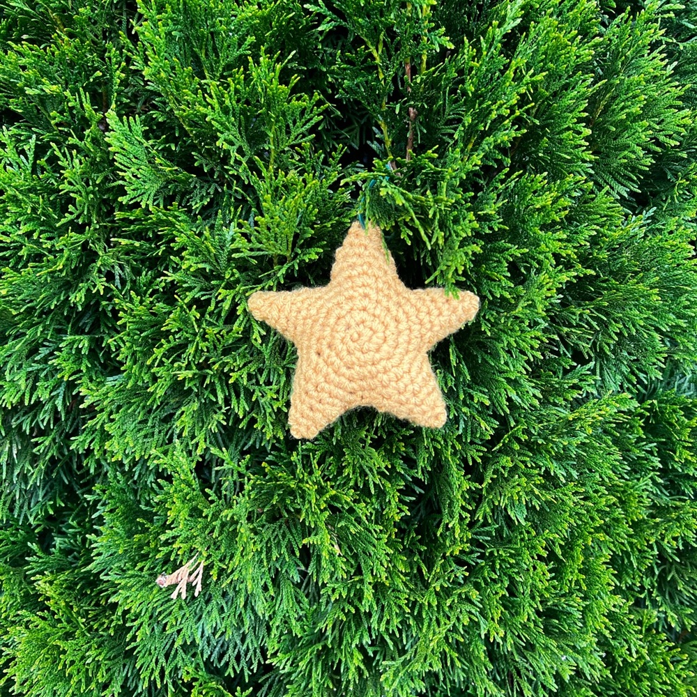 Hand Crocheted 5 Inch Christmas Star Ornament Made With Love! - Picture 10 of 11
